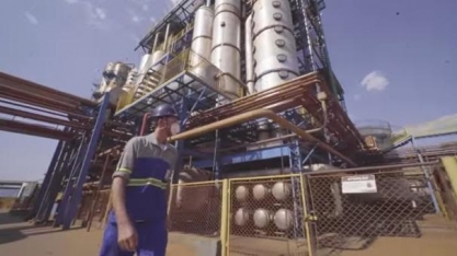 Jalles Machado mantém plano de investimentos apesar de menor preço de IPO  