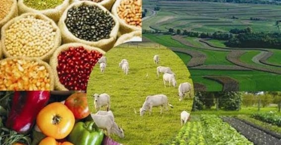 VBP de 2021 deve crescer 12% para R$ 1,002 trilhão