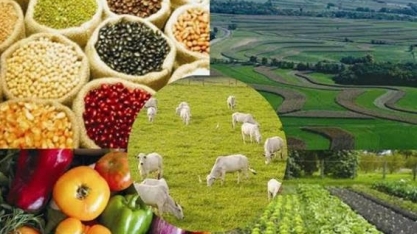 VBP de 2021 deve crescer 12% para R$ 1,002 trilhão