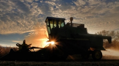 VBP agropecuária deve bater recorde em 2021 a R$ 1,142 trilhão, + 15,8% 