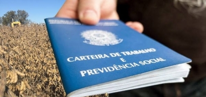 Geração de empregos no agro em 2020 foi melhor resultado em 10 anos