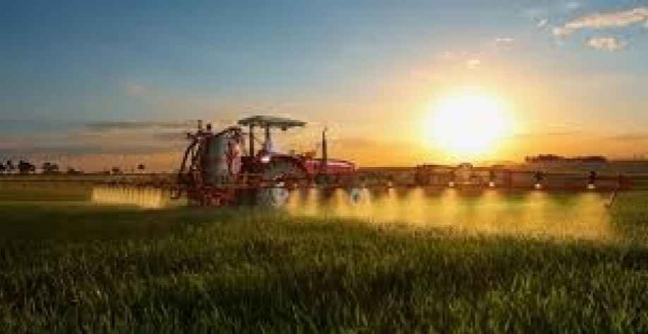 Apesar da pandemia, PIB do agro pode ser recorde em 2020