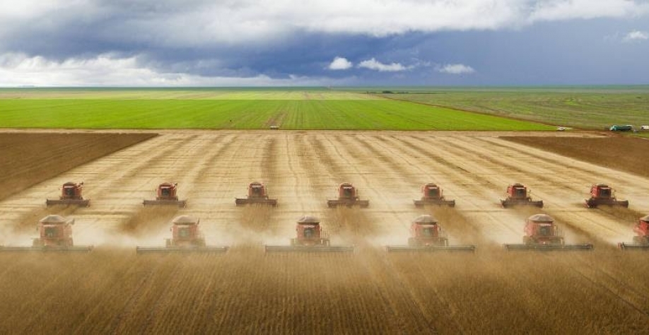 Mato Grosso transforma seu destino com boom movido por China,fé e Bolsonaro   