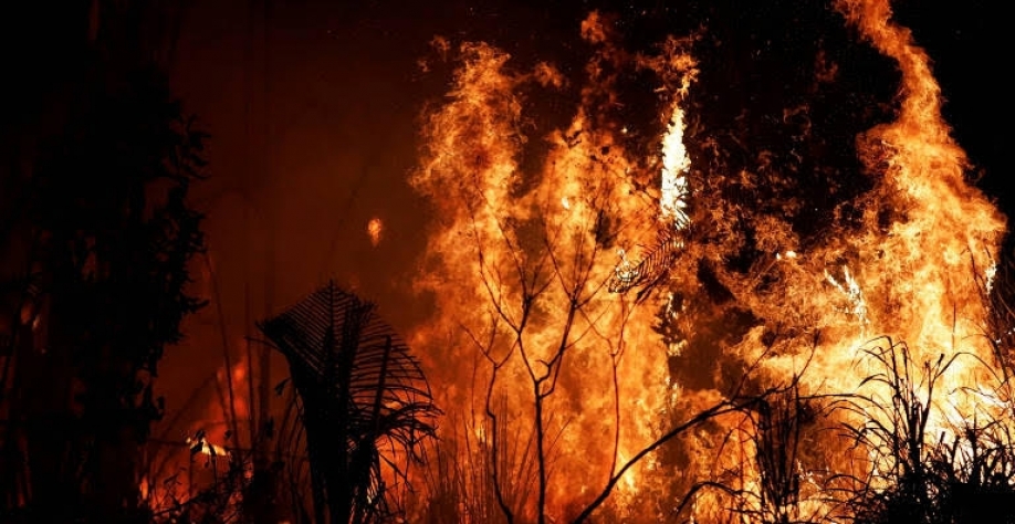 Fundo escandinavo exclui Cargill, Bunge e ADM por desmatamento no Brasil