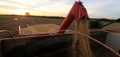 Comerciantes processam produtores por reter soja pré-vendida