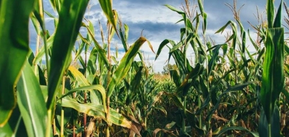 A vez do agro? Responsável por 21% do PIB, setor começa a buscar o mercado