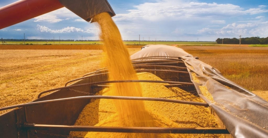 Mais soja nos EUA aumenta concorrência com Brasil