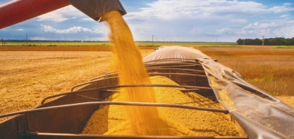 Mais soja nos EUA aumenta concorrência com Brasil