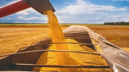 Mais soja nos EUA aumenta concorrência com Brasil