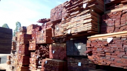 Governo cancela multa e libera madeira para exportadora investigada