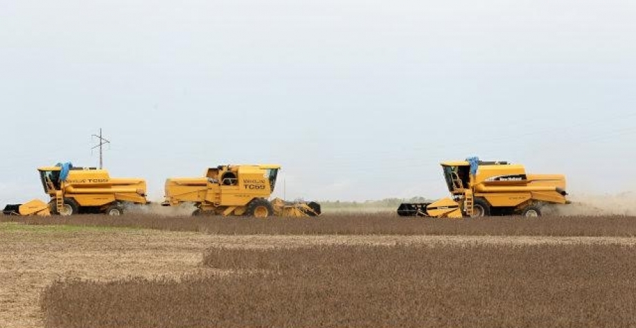 Soja e milho recuam em Chicago após projeção do USDA para áreas de plantio    