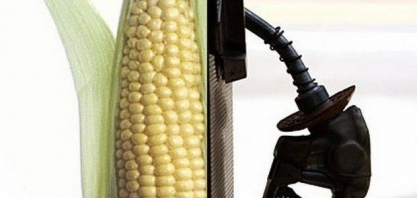 EPA apoia decisão de Tribunal que limitou isenções a pequenas refinarias