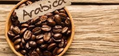 Café: Preço do arábica pode subir ainda mais com déficit, diz Olam