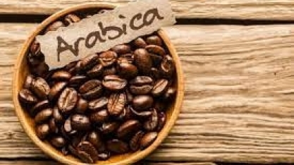 Café: Preço do arábica pode subir ainda mais com déficit, diz Olam