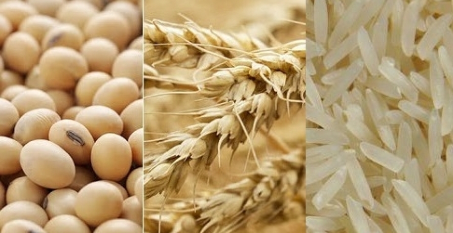 Brasil importa trigo, arroz e até soja, e agro dos EUA se recupera em 2020 