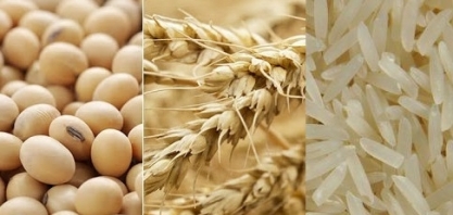 Brasil importa trigo, arroz e até soja, e agro dos EUA se recupera em 2020 