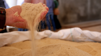 Preços do açúcar bruto devem fechar ano em baixa com superávits globais