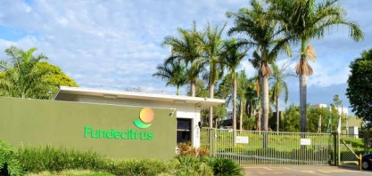 Fundecitrus estima safra de laranja em 269 mi caixas, quebra de 30,45%