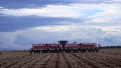 Confiança no agronegócio cai no 4º tri, mas otimismo ainda prevalece