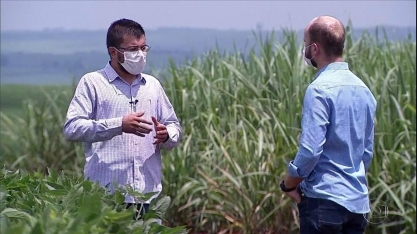 Agricultores trocam cana-de-açúcar por soja em São Paulo 