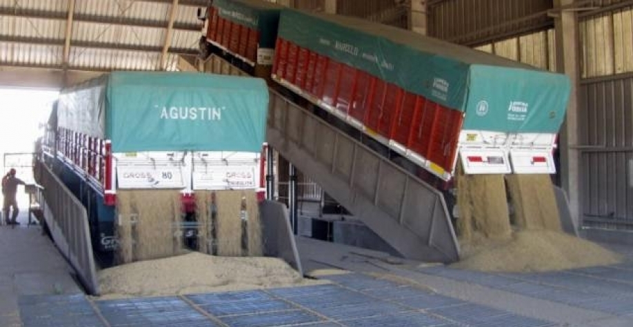 EUA importarão soja neste ano, mas grande área de plantio limitará volumes