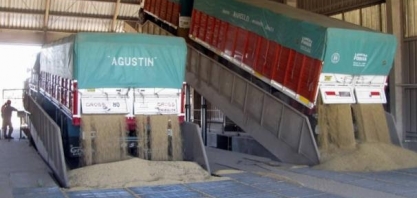 EUA importarão soja neste ano, mas grande área de plantio limitará volumes