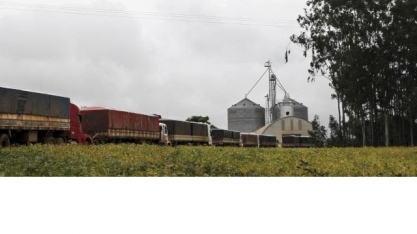 Fila para escoar soja por rio da região Norte chega a 3.000 caminhões