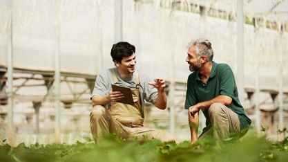 3 dicas para renovar a liderança no agrobusiness