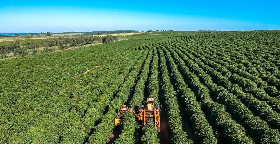 Agro brasileiro exporta R$ 1 milhão por minuto em 2020