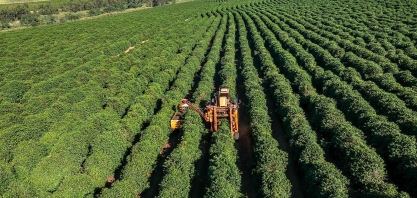 Agro brasileiro exporta R$ 1 milhão por minuto em 2020
