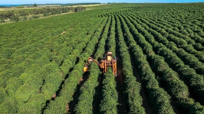 Agro brasileiro exporta R$ 1 milhão por minuto em 2020