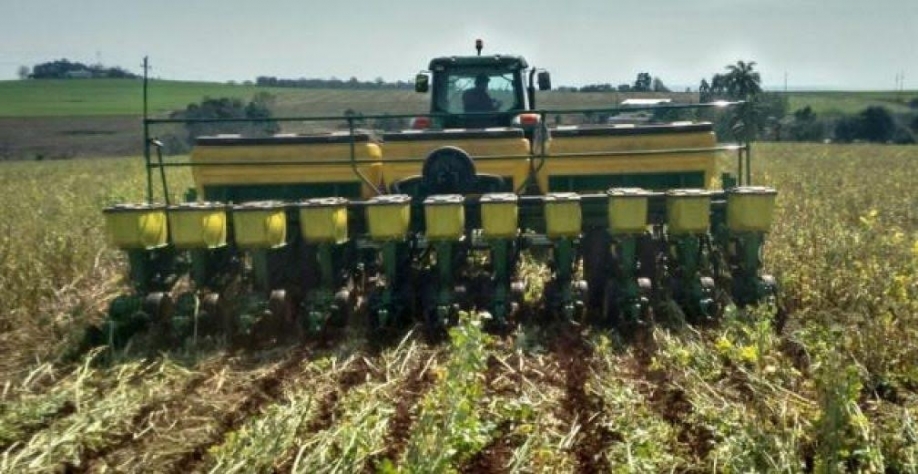 Plantio do milho atrasa em Mato Grosso