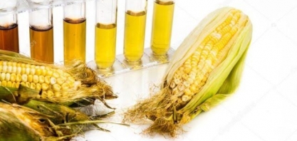 Etanol de milho: Setor quer crescer 200% até 2028