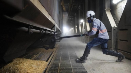 Soja vai gerar US$ 45 bilhões em exportações neste ano