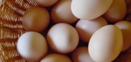 Ovos: Brasil exporta 150% mais no 1º bimestre ante ano anterior 