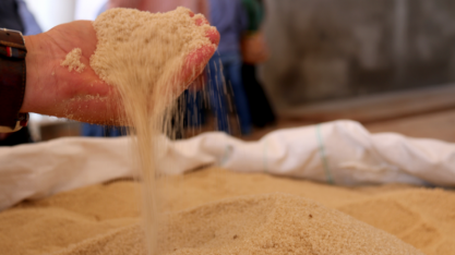 ICE: Açúcar sobe 2,4%, a 16,36 centavos por libra-peso