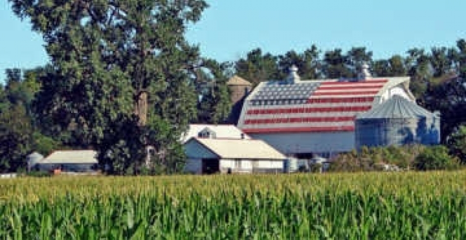 EUA: Setor agrícola comemora pacote fiscal de US$ 1,9 trilhão