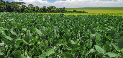 Aprosoja reduz previsão de safra de soja, vê alta de ‘apenas’ 3% ante 2020