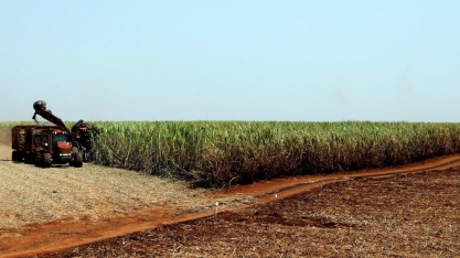 Usina Coruripe reverte prejuízo em 9 meses de 20/21 e vê resultado recorde