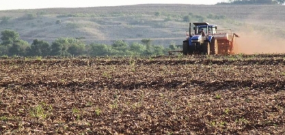Mesmo em período de safra, preços não cedem no campo