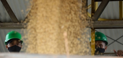 Apesar do recuo no final do ano, PIB do agro é o único a crescer