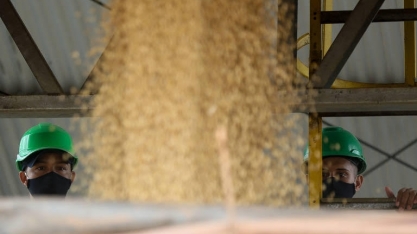 Apesar do recuo no final do ano, PIB do agro é o único a crescer