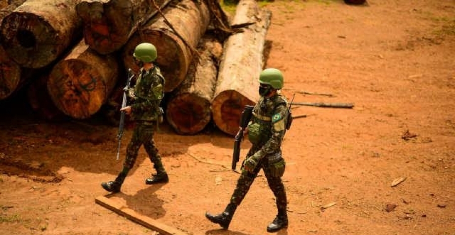 Militares fracassam em missão de conter desmatamento da Amazônia