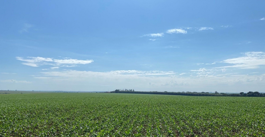 Desafios da safra 2020/2021