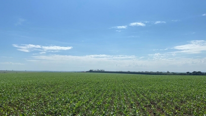 Desafios da safra 2020/2021