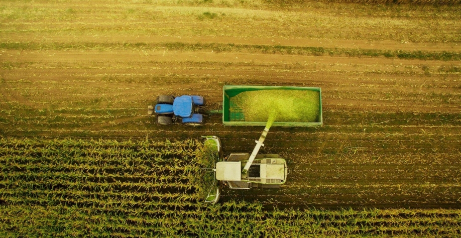 Agro volta a surpreender com safra recorde e alta nas exportações