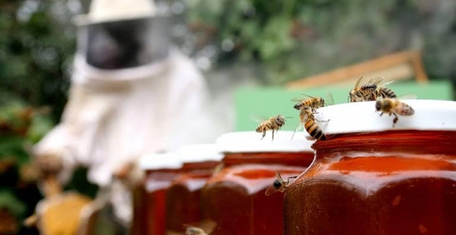 Paçoquinha, geleia de umbu e mel diversificam exportação além da soja