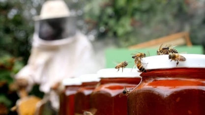 Paçoquinha, geleia de umbu e mel diversificam exportação além da soja