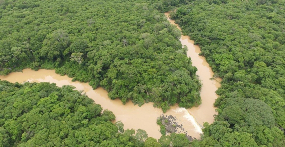 Agro preserva enquanto produz - Por Helen Jacintho