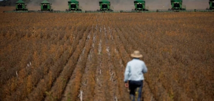Embrapa: Recursos orçamentários em 2021 são insuficientes, diz sindicato